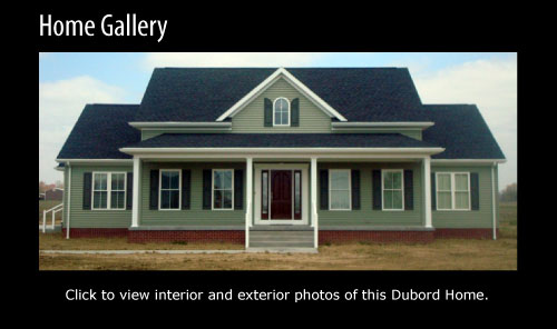 Gallery 4